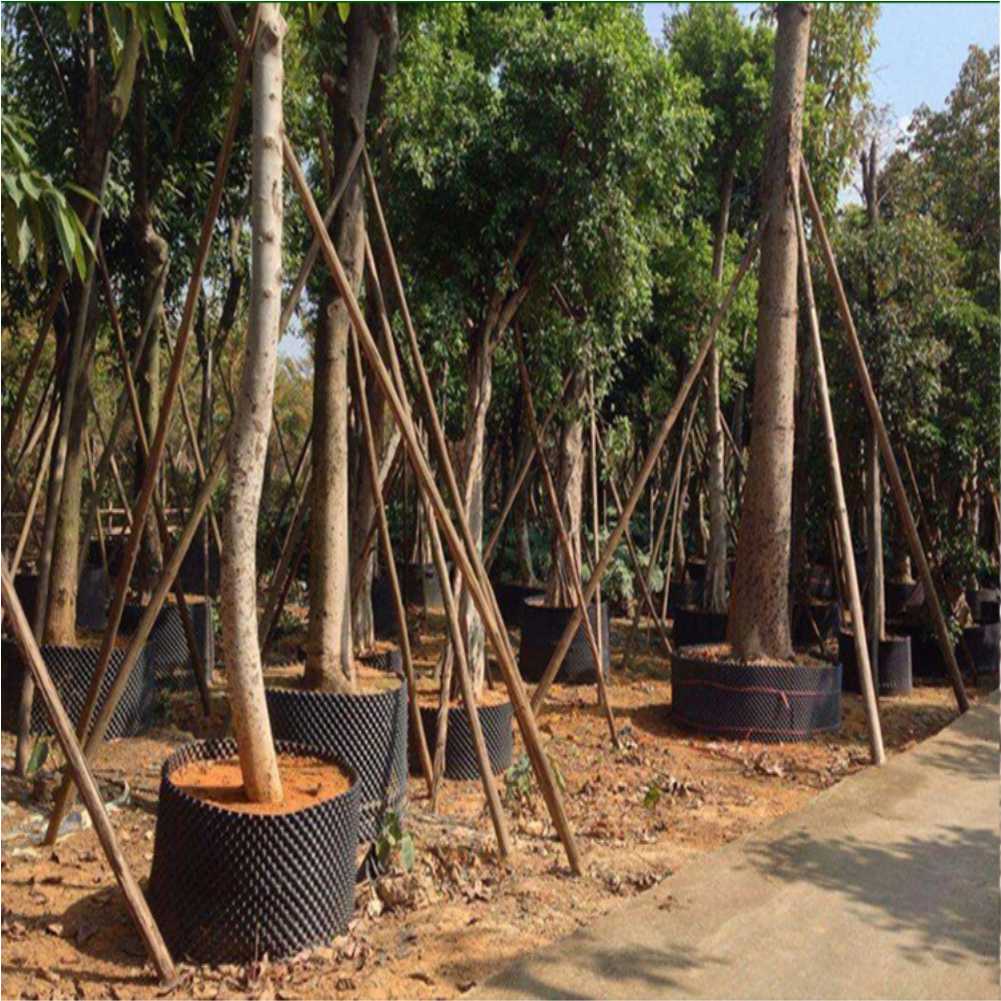 Grow Container Garden Tree Bon - Nursery recension och pris