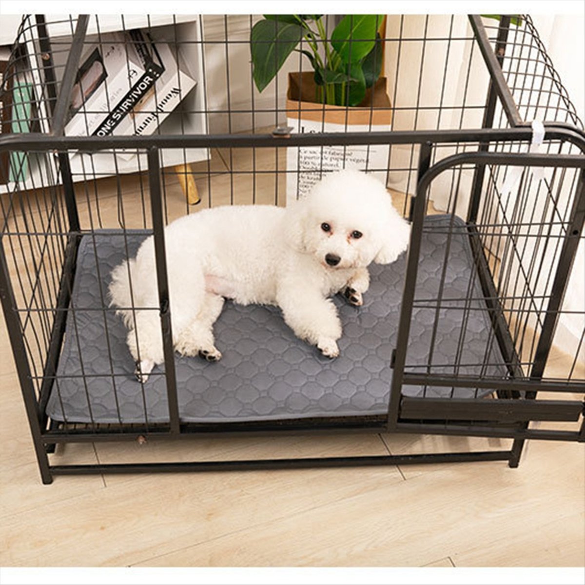 *A14E Reusable Blanket for Dog - Diapering recension och pris