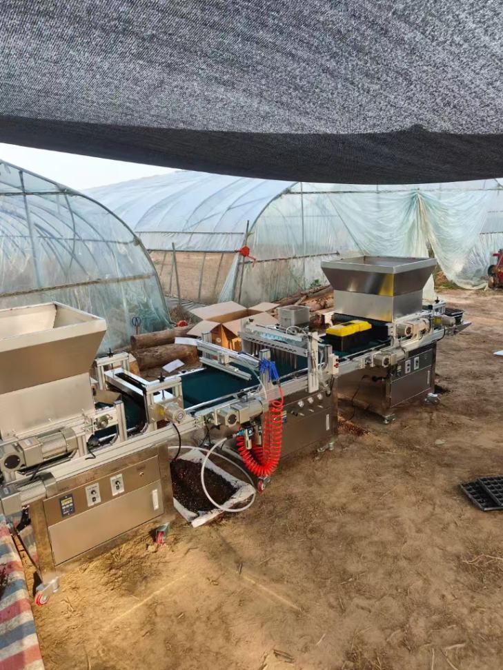 Greenhouse Vegetable Nursery M - Nursery recension och pris
