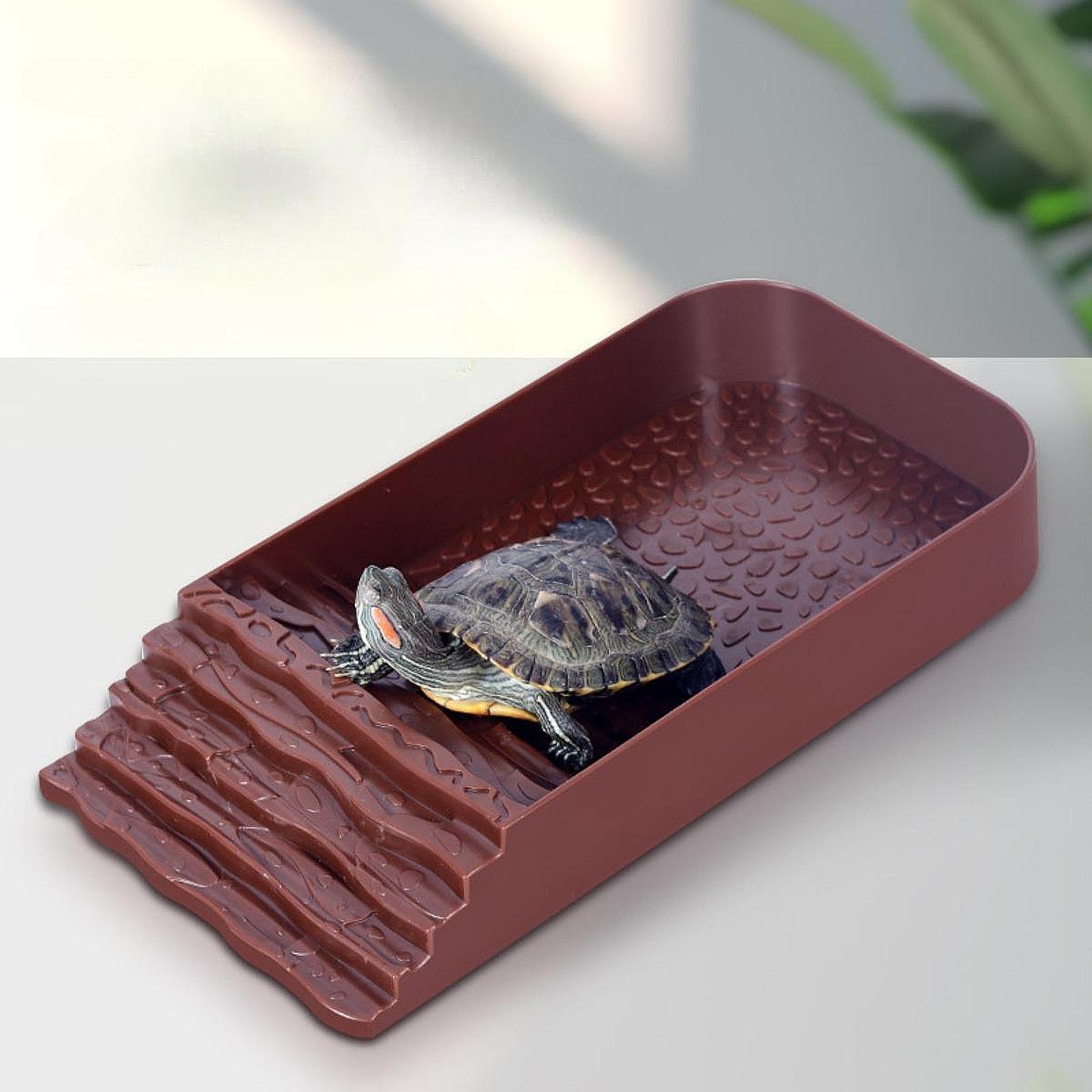 Large Turtle Water Dish Reptil - Feeding recension och pris